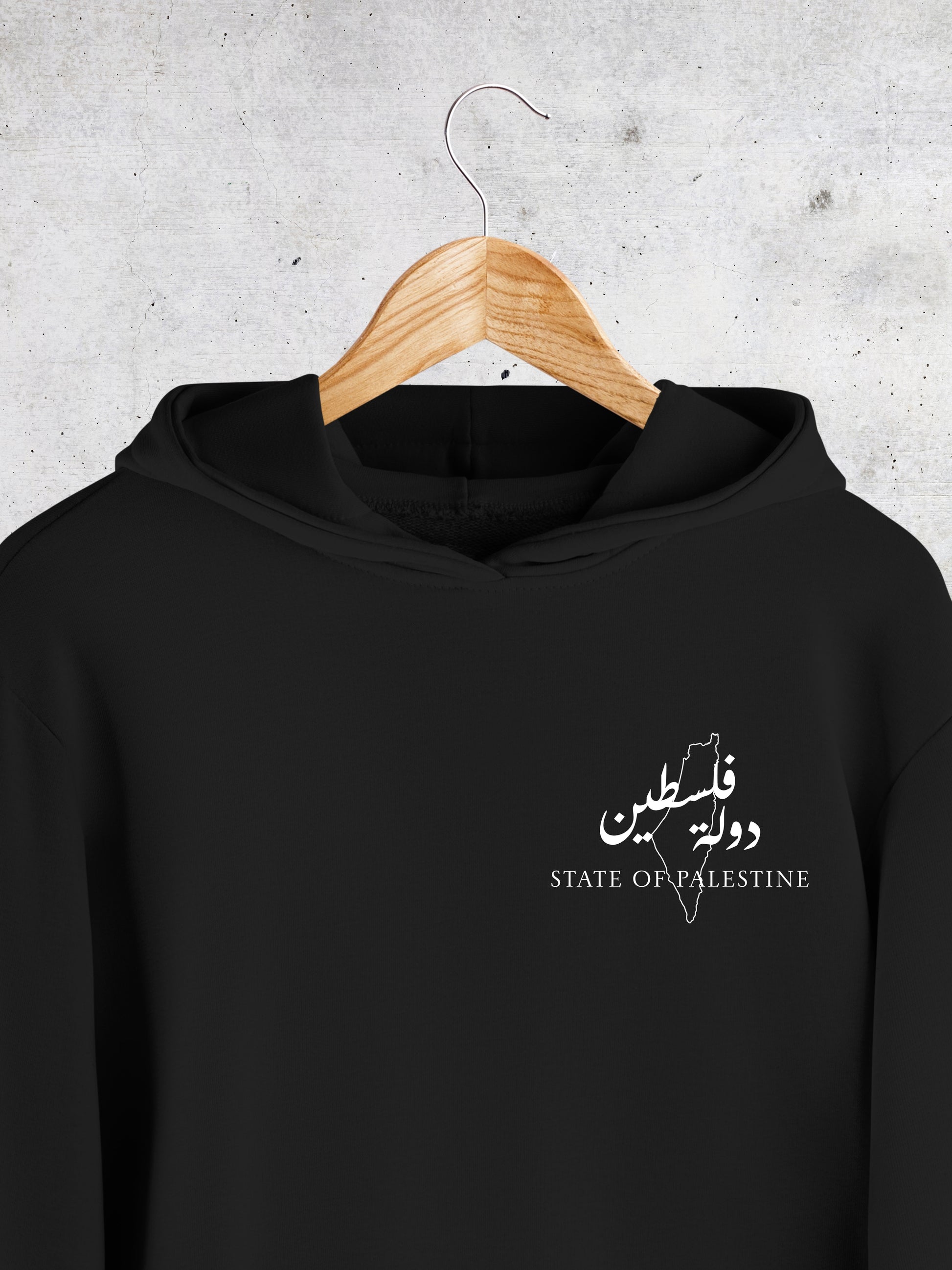 The State of Palestine - Hoodie - Faem