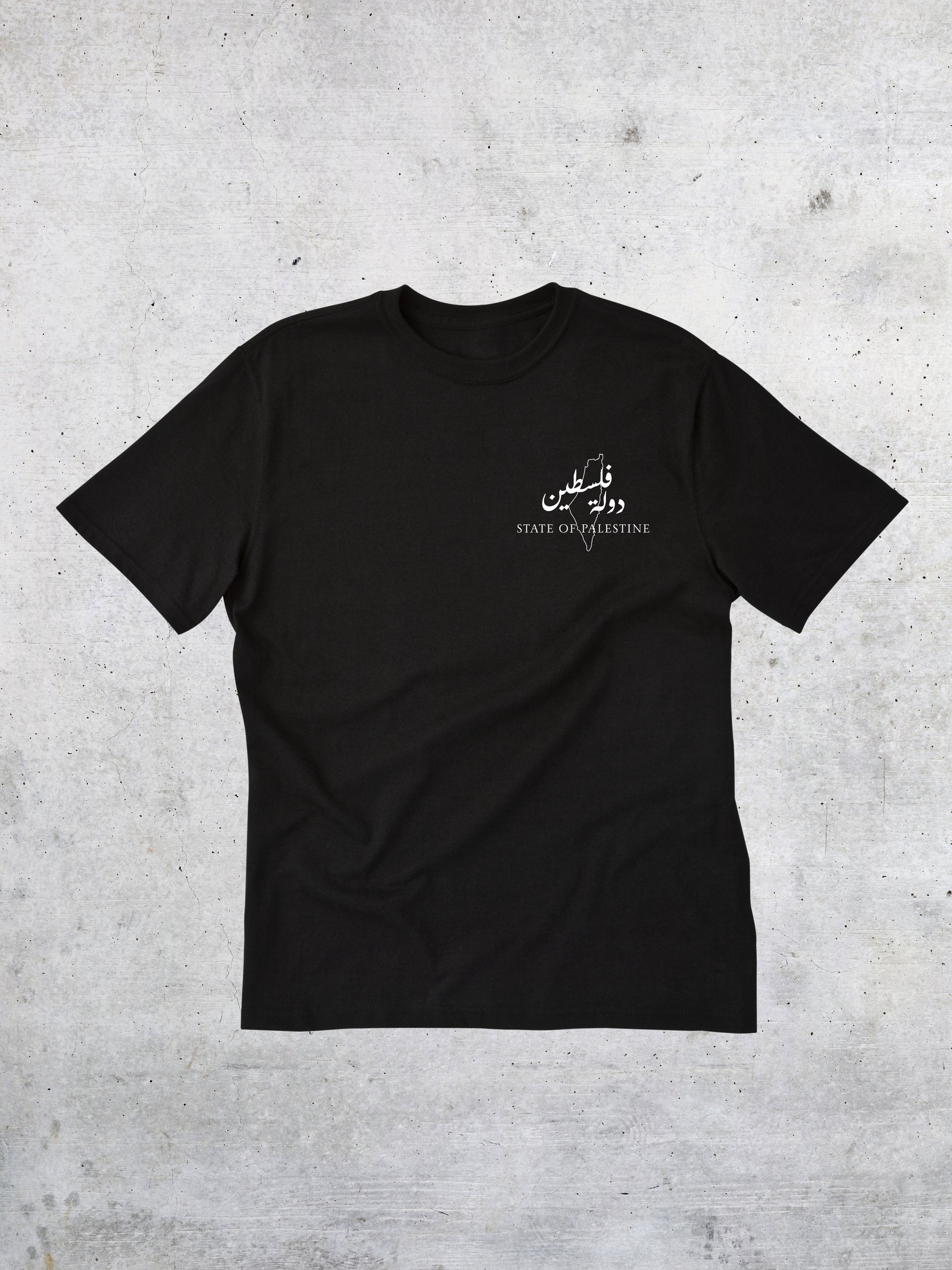 The State of Palestine - Tshirt - Faem