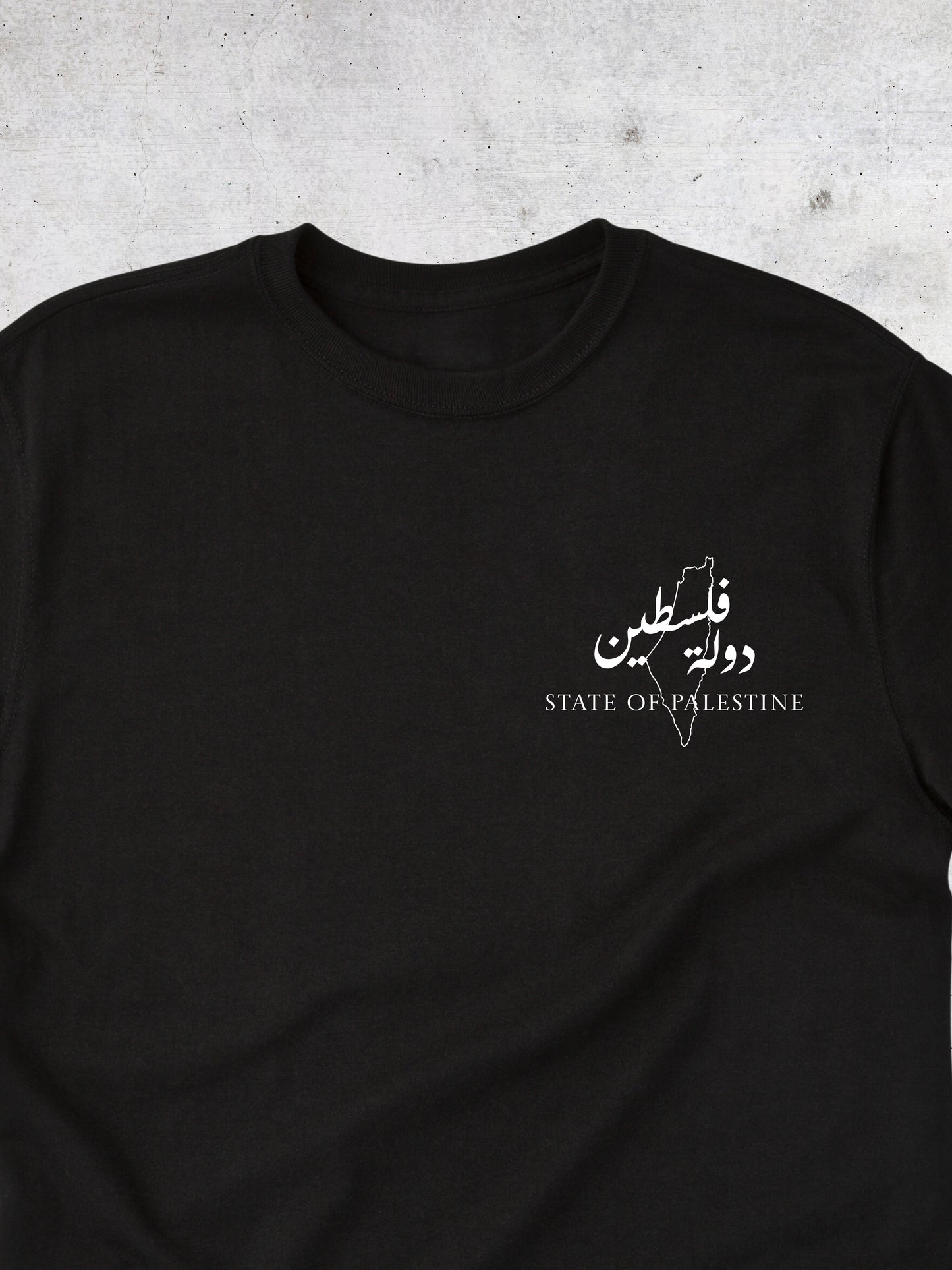 The State of Palestine - Tshirt - Faem