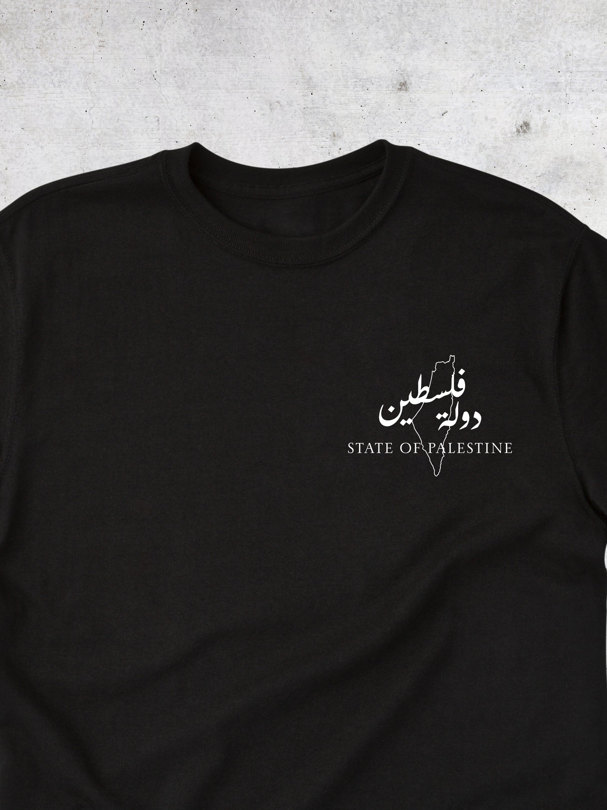 The State of Palestine - Tshirt - Faem